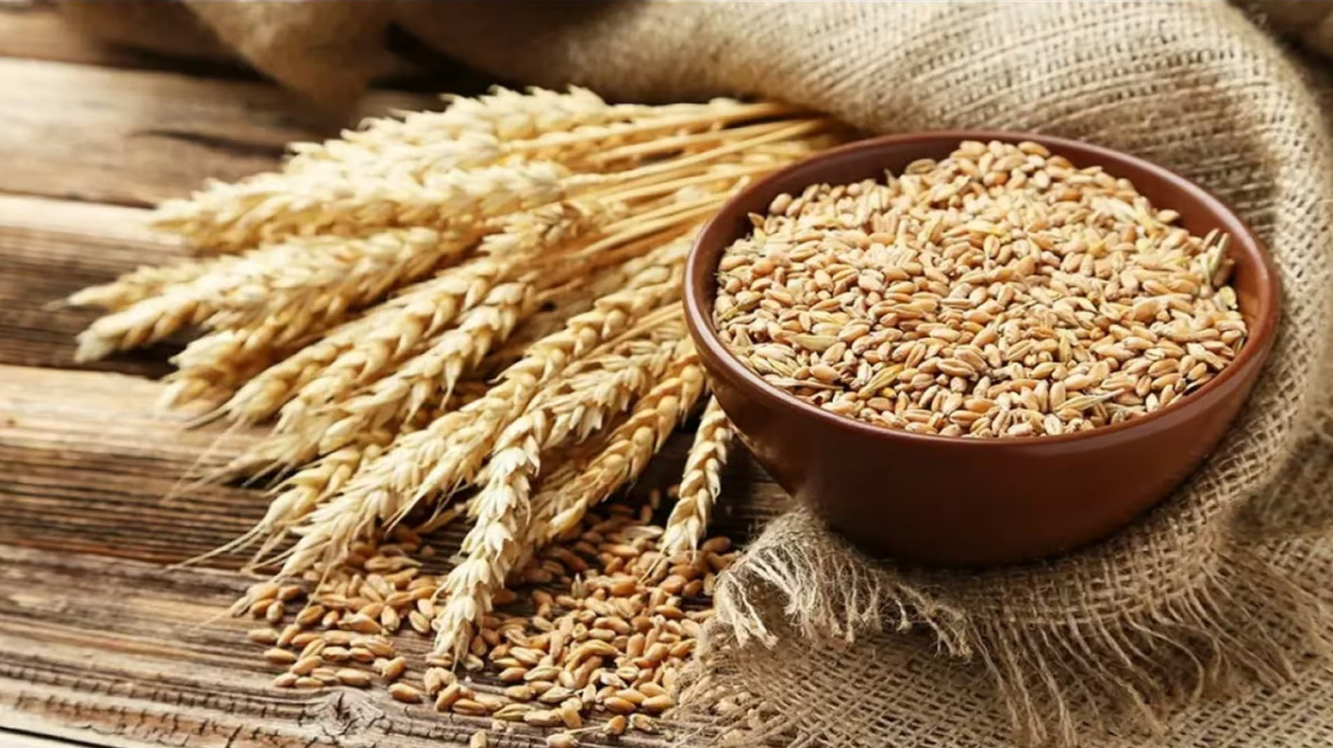 Bihar Agriculture: बिहार में गेहूं खरीद शुरू – पटना सबसे आगे, जानें एमएसपी और भुगतान प्रक्रिया!