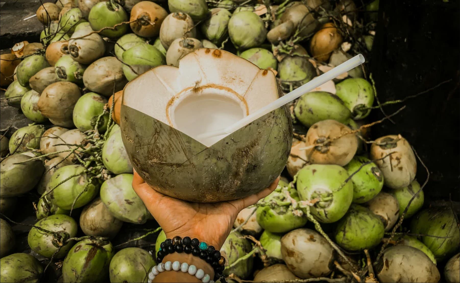 Coconut Buying Tips: नारियल खरीदने का सही तरीका, इन 5 आसान टिप्स से चुनें पानीदार या मलाईदार नारियल