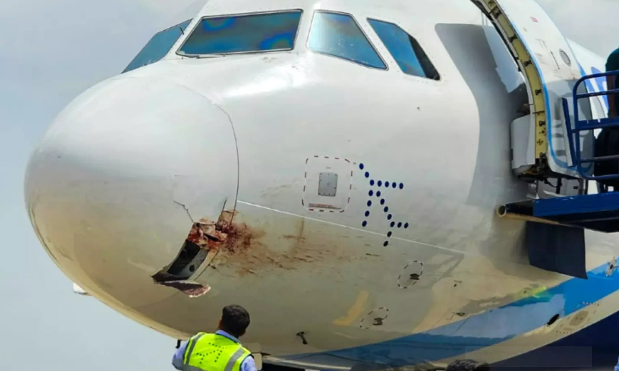 IndiGo Plane Emergency Landing: IndiGo Plane से हवा में टकराया पक्षी, पटना में Emergency Landing, जानिए कैसे बची 175 यात्रियों की जान