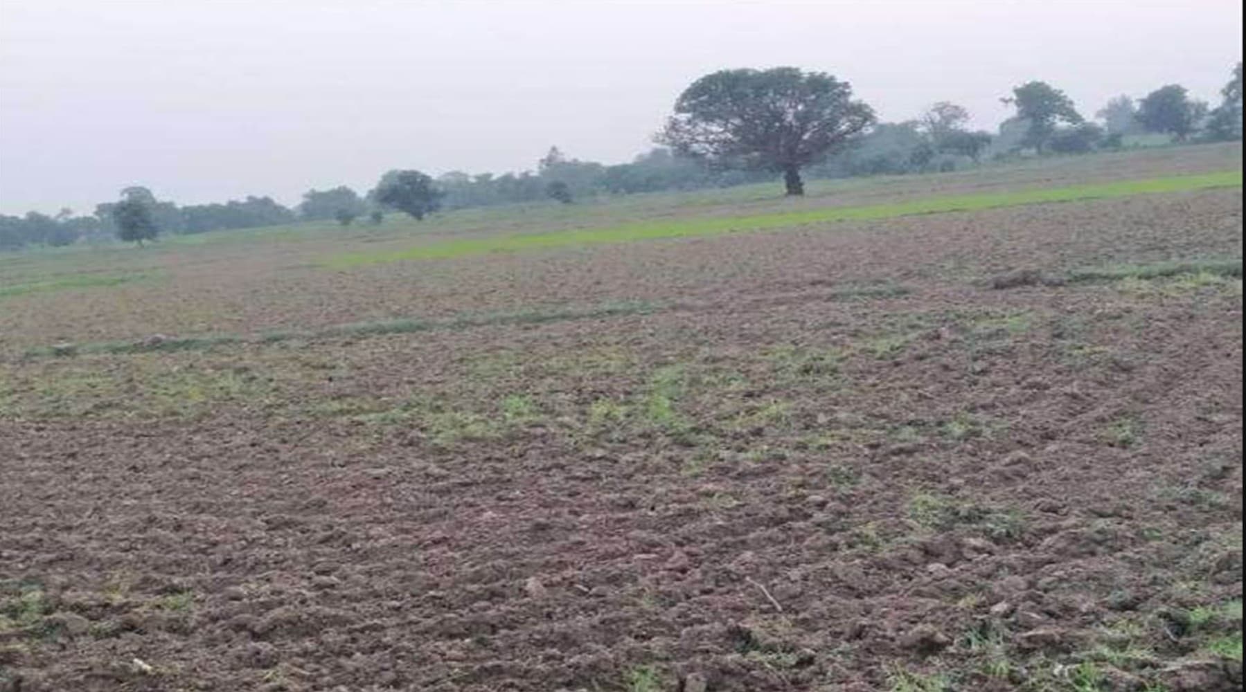 Bihar Chakbandi News: चकबंदी वाले गांवों में अब मिलेगा असली मालिक को मुआवजा! बिहार सरकार का बड़ा फैसला