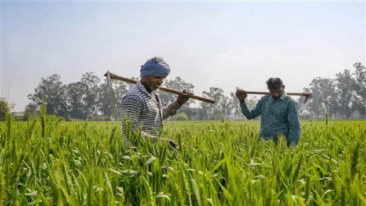 बिहार राज्य फसल सहायता योजना: प्राकृतिक आपदाओं के बीच किसानों के लिए जीवन रेखा
