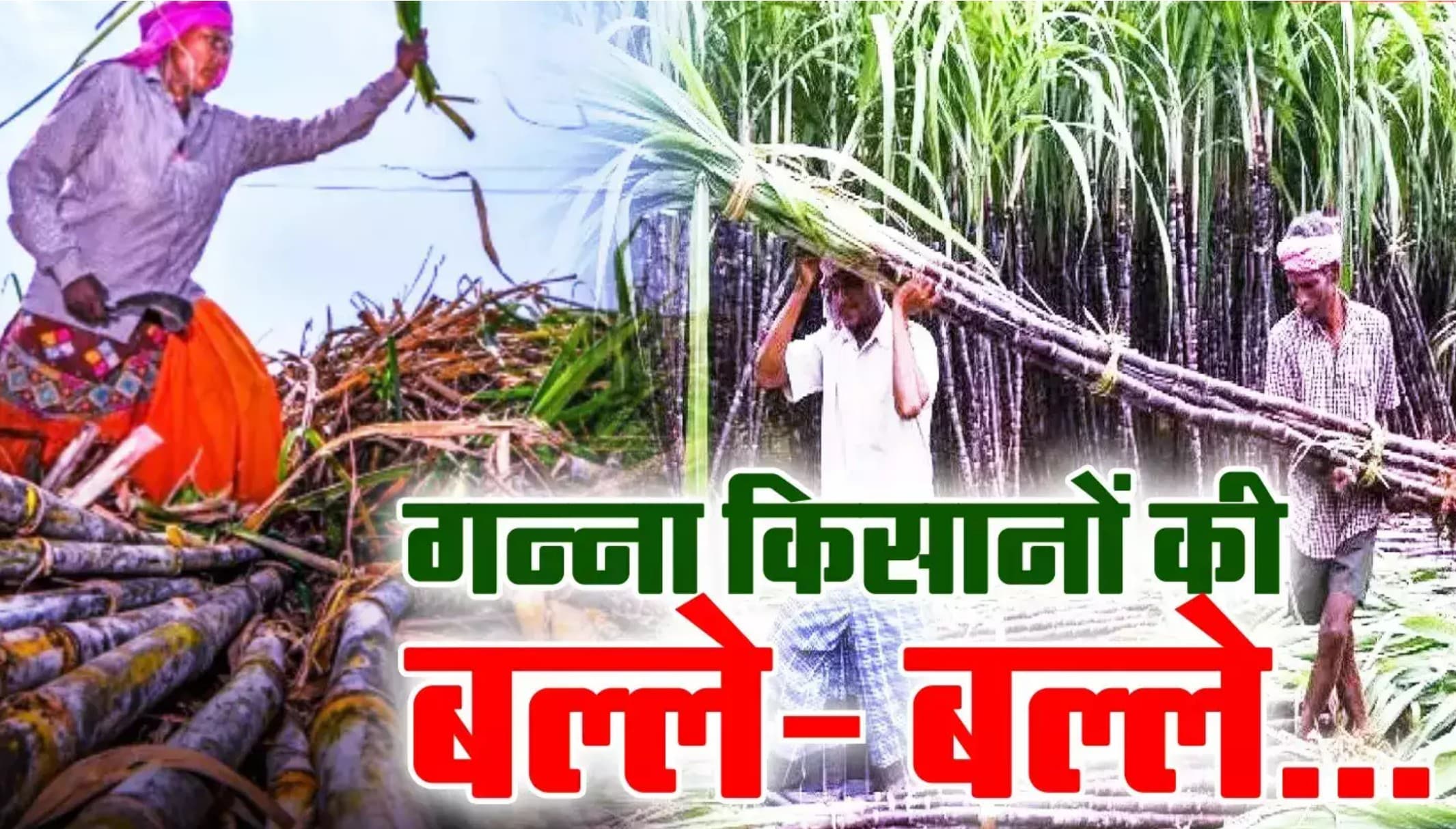 Bihar Sugarcane Farming Subsidy: बिहार के गन्ना किसानों के लिए बड़ी खुशखबरी! सरकार लाई आर्थिक उन्नति की नई योजना – जानिए कैसे मिलेगा फायदा!