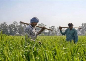 बिहार राज्य फसल सहायता योजना: प्राकृतिक आपदाओं के बीच किसानों के लिए जीवन रेखा