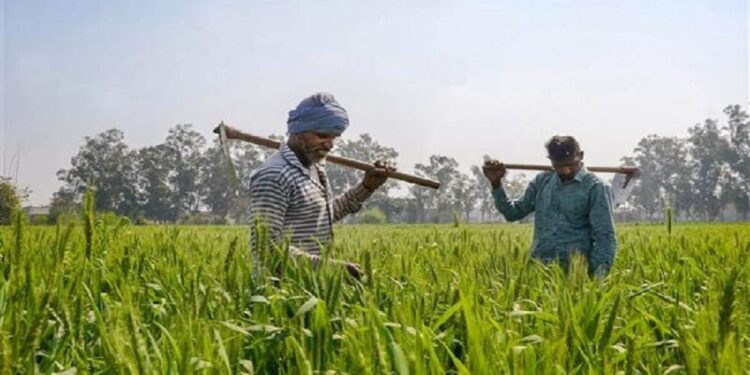 बिहार राज्य फसल सहायता योजना: प्राकृतिक आपदाओं के बीच किसानों के लिए जीवन रेखा