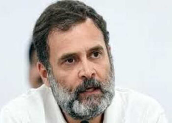 मोदी सरकार की विकास नीतियों में नदारद है आम लोगों का हित: राहुल