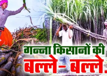 Bihar Sugarcane Farming Subsidy: बिहार के गन्ना किसानों के लिए बड़ी खुशखबरी! सरकार लाई आर्थिक उन्नति की नई योजना – जानिए कैसे मिलेगा फायदा!