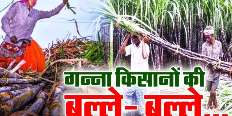 Bihar Sugarcane Farming Subsidy: बिहार के गन्ना किसानों के लिए बड़ी खुशखबरी! सरकार लाई आर्थिक उन्नति की नई योजना – जानिए कैसे मिलेगा फायदा!