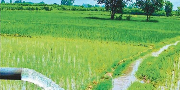 Bihar Irrigation: बिहार में सिंचाई की बड़ी कामयाबी! 1307 योजनाओं से 5.80 लाख हेक्टेयर खेतों तक पहुंचा पानी – जानें पूरी डिटेल”