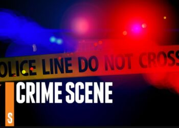 Bihar News Hindi: STF की बड़ी कामयाबी! 3 महीनों में 16 बड़े अपराध रोके, पटना समेत कई जिलों में कार्रवाई