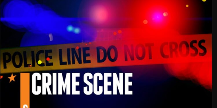 Bihar News Hindi: STF की बड़ी कामयाबी! 3 महीनों में 16 बड़े अपराध रोके, पटना समेत कई जिलों में कार्रवाई