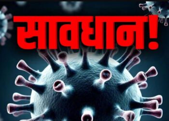 Swine flu h1n1 virus: स्वाइन फ्लू का प्रकोप, देश के 8 राज्यों में तेजी से फैल रहा एच1एन1 वायरस, 6 मौतें