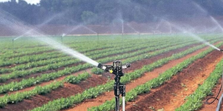 Bihar Irrigation: पटना के किसानों के लिए खुशखबरी! 2088 लाख की लागत से बनेगी नई सिंचाई योजनाएं, 4,054 हेक्टेयर को मिलेगा पानी!