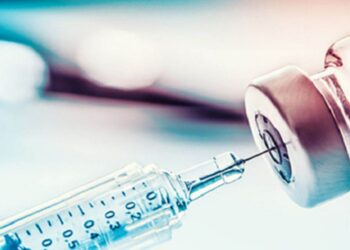 Bihar Swine Fever: बिहार में क्लासिकल स्वाइन फीवर से बचाव के लिए व्यापक टीकाकरण अभियान, 10 दिनों में 2.32 लाख सूकरों को लगेगा टीका
