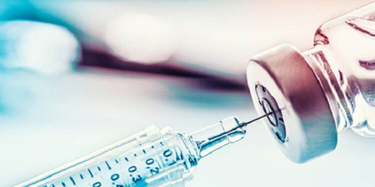 Bihar Swine Fever: बिहार में क्लासिकल स्वाइन फीवर से बचाव के लिए व्यापक टीकाकरण अभियान, 10 दिनों में 2.32 लाख सूकरों को लगेगा टीका