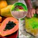 Dengue Treatment Home Remedy: डेंगू-मलेरिया का दुश्मन है पपीते का पत्ता! जानें कैसे एक चम्मच रस से बढ़ती है प्लेटलेट्स और इम्यूनिटी”