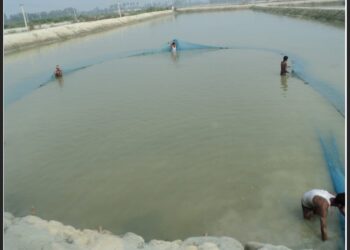 Fish Farming Tips April Bihar: गर्मी में मछलियों की देखभाल जरूरी! अप्रैल में करें ये 7 काम वरना हो सकता है भारी नुकसान – जानिए विशेषज्ञ की सलाह