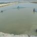 Fish Farming Tips April Bihar: गर्मी में मछलियों की देखभाल जरूरी! अप्रैल में करें ये 7 काम वरना हो सकता है भारी नुकसान – जानिए विशेषज्ञ की सलाह