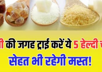 Natural Sugar Alternatives: मीठा भी, हेल्दी भी! चीनी छोड़ें नहीं, बदलें – जानें 5 ज़बरदस्त नेचुरल स्वीटनर जो सेहत के भी हैं दोस्त