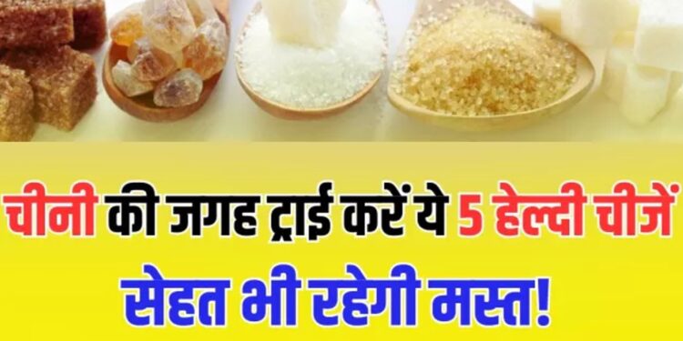 Natural Sugar Alternatives: मीठा भी, हेल्दी भी! चीनी छोड़ें नहीं, बदलें – जानें 5 ज़बरदस्त नेचुरल स्वीटनर जो सेहत के भी हैं दोस्त