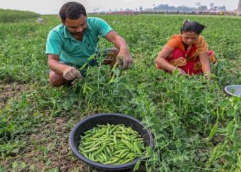 Mukhyamantri Kisan Yojana: बिहार के किसानों के लिए बड़ा ऐलान – कृषि बिजली आपूर्ति को बेहतर बनाने की नई रणनीति!