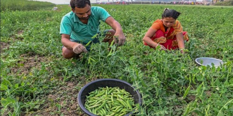 Mukhyamantri Kisan Yojana: बिहार के किसानों के लिए बड़ा ऐलान – कृषि बिजली आपूर्ति को बेहतर बनाने की नई रणनीति!