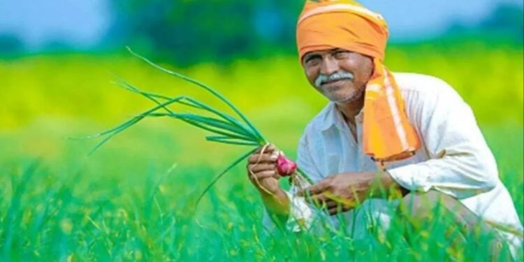 Bihar Agriculture Market 2025: बिहार के किसानों को जल्द मिलेगी नई बाजार सुविधा – जानिए कहां बन रहा है आधुनिक मंडी प्रांगण!