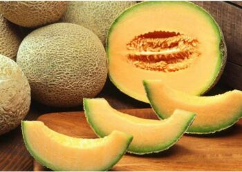 kharbuja Benefits: गर्मियों में सेहत का सुपरफूड, जानिए खरबूजा खाने के फायदे और सही खरबूजा चुनने के आसान टिप्स