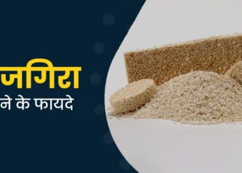 Rajgira Health Benefits: क्विनोआ और ओट्स को भूल जाइए! जानिए देसी सुपरफूड ‘राजगिरा’ के ऐसे 7 फायदे जो आपकी सेहत बदल देंगे!