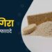 Rajgira Health Benefits: क्विनोआ और ओट्स को भूल जाइए! जानिए देसी सुपरफूड ‘राजगिरा’ के ऐसे 7 फायदे जो आपकी सेहत बदल देंगे!