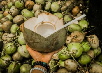 Coconut Buying Tips: नारियल खरीदने का सही तरीका, इन 5 आसान टिप्स से चुनें पानीदार या मलाईदार नारियल