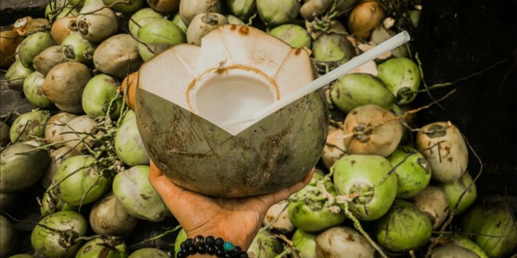 Coconut Buying Tips: नारियल खरीदने का सही तरीका, इन 5 आसान टिप्स से चुनें पानीदार या मलाईदार नारियल