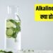Alkaline Water Recipe: गर्मियों में शरीर को सुपरचार्ज करें! जानिए घर पर Alkaline Water बनाने की 3 आसान रेसिपी – पेट की गैस, एसिडिटी और थकान होगी गायब!