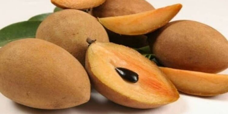 Chikoo Khane Ke Fayde Hindi: सेहत का खजाना है चीकू! जानिए इसके फायदे और सावधानियां