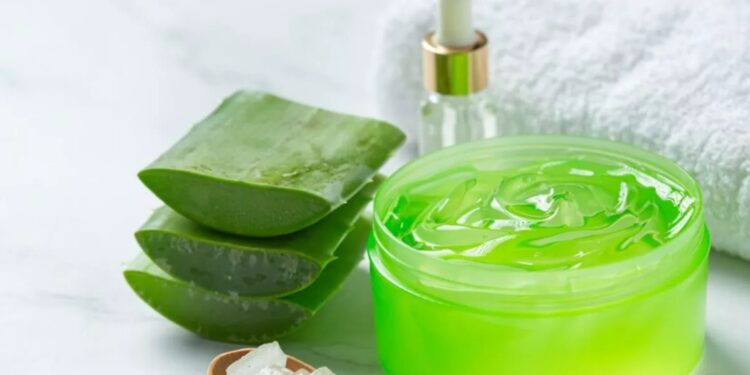 Aloe Vera Face Pack: गर्मी में स्किन टैनिंग और सनबर्न से पाएं छुटकारा! घर पर बनाएं एलोवेरा के ये 4 जादुई फेस मास्क – चमक उठेगा चेहरा, दिखेगा Insta Glow!