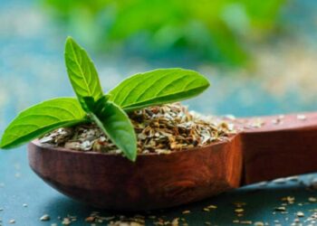 Tulsi Benefits: हर दिन खाएं तुलसी के 5 पत्ते और देखिए चमत्कार! वैज्ञानिक भी मान गए इसके चमत्कारी फायदे