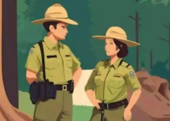 Bihar Forest Officer Recruitment : वन पदाधिकारी की सरकारी नौकरी! बिहार में स्नातकों के लिए निकली सीधी भर्ती, जानें कब और कैसे करें आवेदन