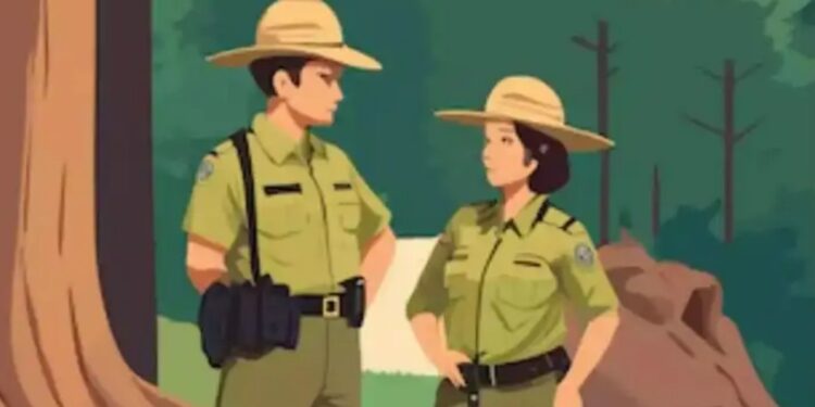 Bihar Forest Officer Recruitment : वन पदाधिकारी की सरकारी नौकरी! बिहार में स्नातकों के लिए निकली सीधी भर्ती, जानें कब और कैसे करें आवेदन