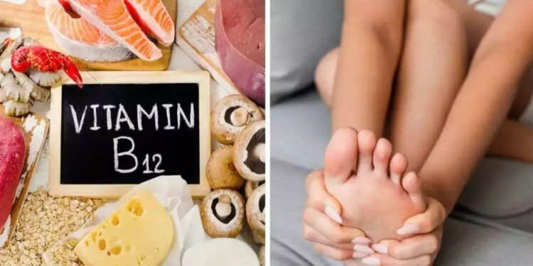 Vitamin B12 Deficiency: शाकाहारी हैं तो हो जाएं सावधान! विटामिन B12 की कमी कर सकती है शरीर को बर्बाद