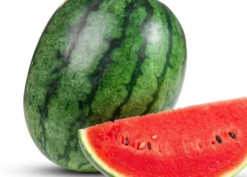 How to Identify Fake Watermelon: नकली तरबूज से बढ़ रहा कैंसर का खतरा! खरीदते वक्त बरतें ये सावधानियां