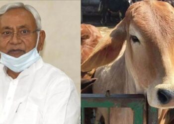 Bihar Gavy Vikas Yojana 2025: गायों से बदल रही ग्रामीण अर्थव्यवस्था! बिहार की नई योजनाओं से लाखों पशुपालकों को सीधा फायदा