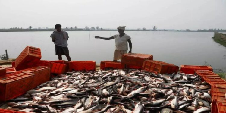Bihar Fisheries Scheme: बिहार में मत्स्य उत्पादन को नई रफ्तार! कोसी और पूर्णिया क्षेत्र में FPO की समीक्षा बैठक में हुए बड़े फैसले