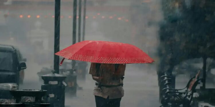 Monsoon 2025: केरल से शुरू होगी राहत की बारिश, दिल्ली तक कब पहुंचेगा मॉनसून? जानें पूरा शेड्यूल!