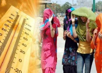IMD Heatwave Alert: उत्तर भारत में प्रचंड गर्मी का कहर! दिल्ली समेत कई राज्यों में हीट वेव अलर्ट जारी, IMD ने दी चेतावनी