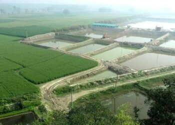 Bihar Fishery Scheme 2025: बिहार में मछली पालन से बनेगा रोजगार का समंदर! जानिए सरकार की नई योजना और तगड़ा अनुदान