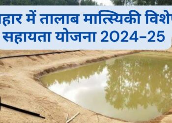 Talab Matsyiki Yojana Bihar 2025: बिहार सरकार की ‘तालाब मत्स्यिकी योजना’ बनी मछली पालकों के लिए वरदान – जानिए कैसे मिल रहा 70% अनुदान!