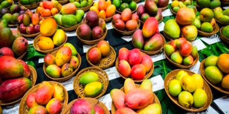 Patna Mango Festival 2025: 28-29 जून को पटना में लगेगा आमों का मेला – खाओ आम, पाओ इनाम, देखो दर्जनों वैरायटी एक साथ!