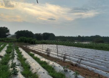 Bihar Sinchai Yojana: गोपालगंज-सिवान-सारण के किसानों को बड़ी राहत! 2061 करोड़ की योजना से लाखों हेक्टेयर में सिंचाई संभव