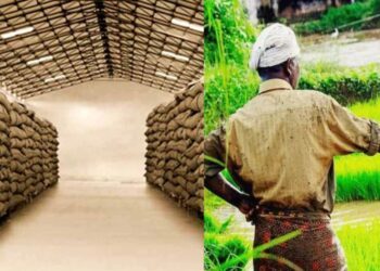 Pax godam yojana Bihar: बिहार में 6,158 नए गोदाम! अब किसान बेचेंगे नहीं, संभालेंगे अपना अनाज – भंडारण से बदलेगा किस्मत का खेल