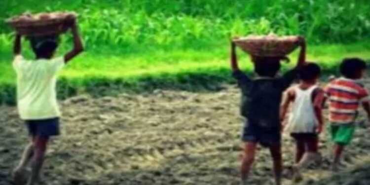 Child Labor Free Bihar: बिहार में बाल श्रम पर चलेगा बड़ा एक्शन! जुलाई में बन रही है निर्णायक रणनीति