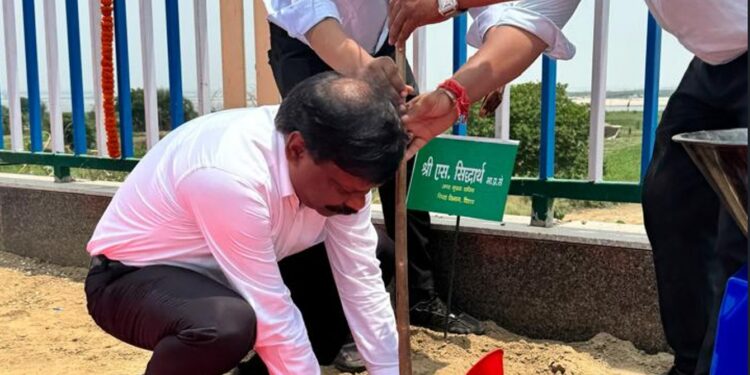 Vishwa Paryavaran Diwas 2025 Bihar: बिहार के स्कूलों में अब लगेगा हरियाली का पाठ! शिक्षा विभाग के एसीएस ने गंगा पथ पर किया वृक्षारोपण